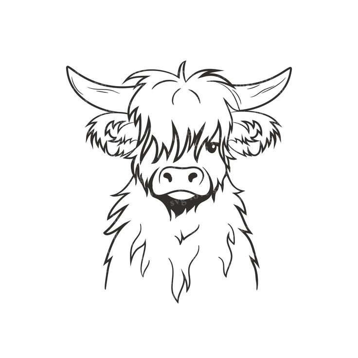 Farm Animals Collection: Drawing a Cow