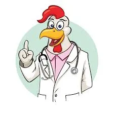 Chicken as Doctor