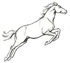 horse drawing