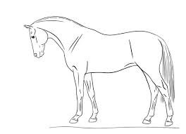 horse drawing